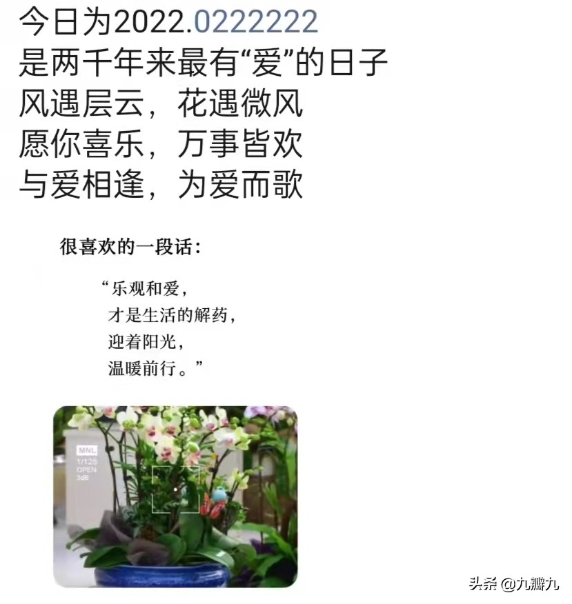 20220222适合表达爱，发朋友圈，文案文末已为大家准备好，别错过