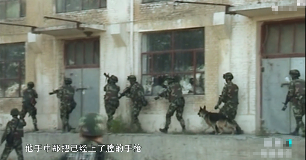 2009年，杀人狂魔王厚军持枪与武警对射，被武警当场击毙
