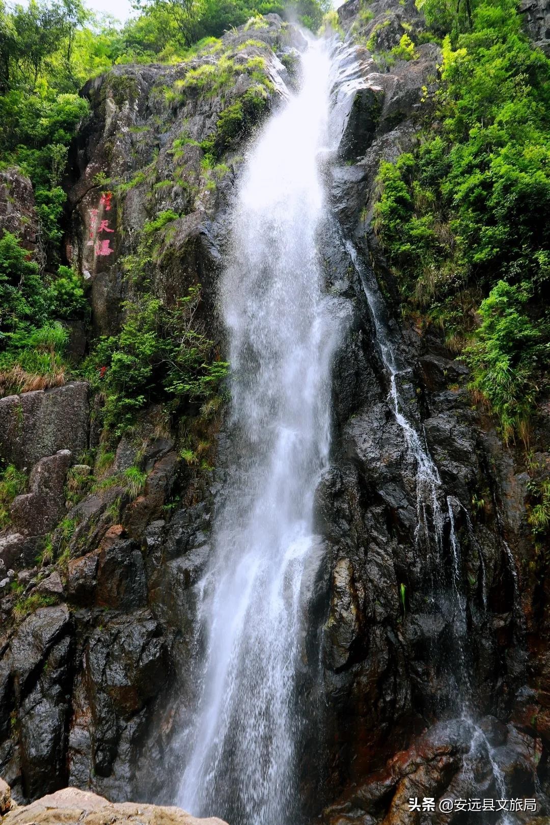 藏在江西大山里的诗意春色，美翻了