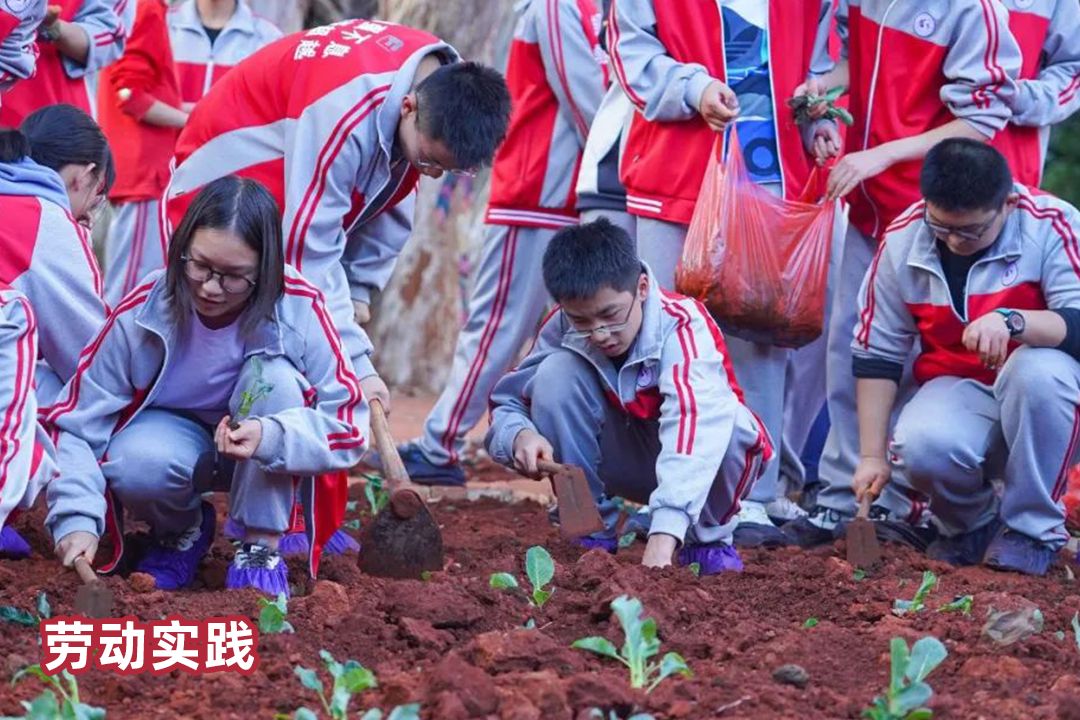 初中三年，在云南长水实验中学能收获什么？