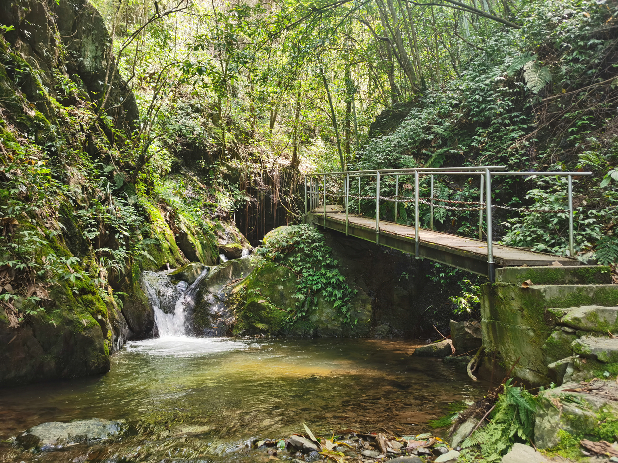 长沙旅游攻略景点必去（长沙旅游攻略景点必去）