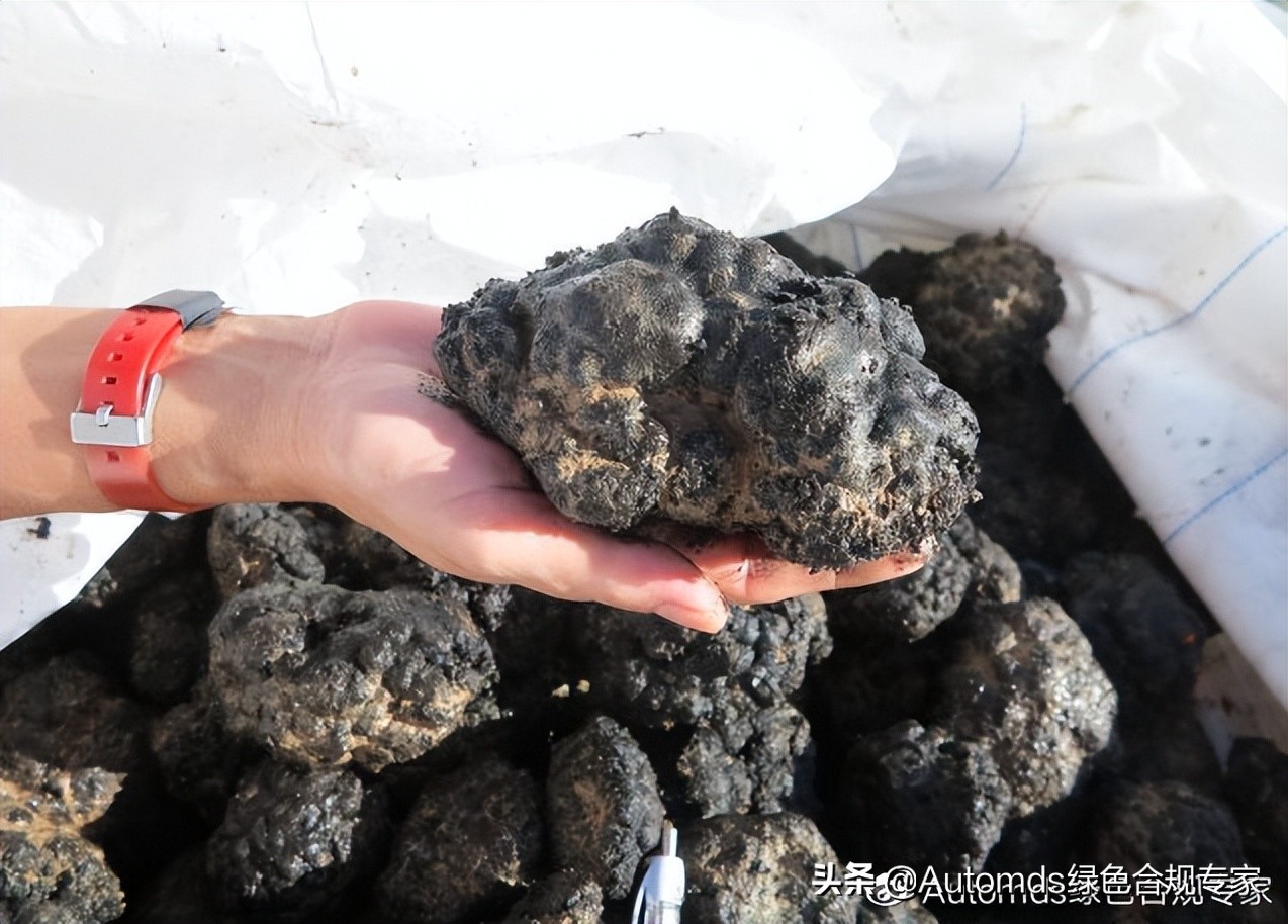 随着电动汽车热潮推动金属需求，各国政府反对深海采矿