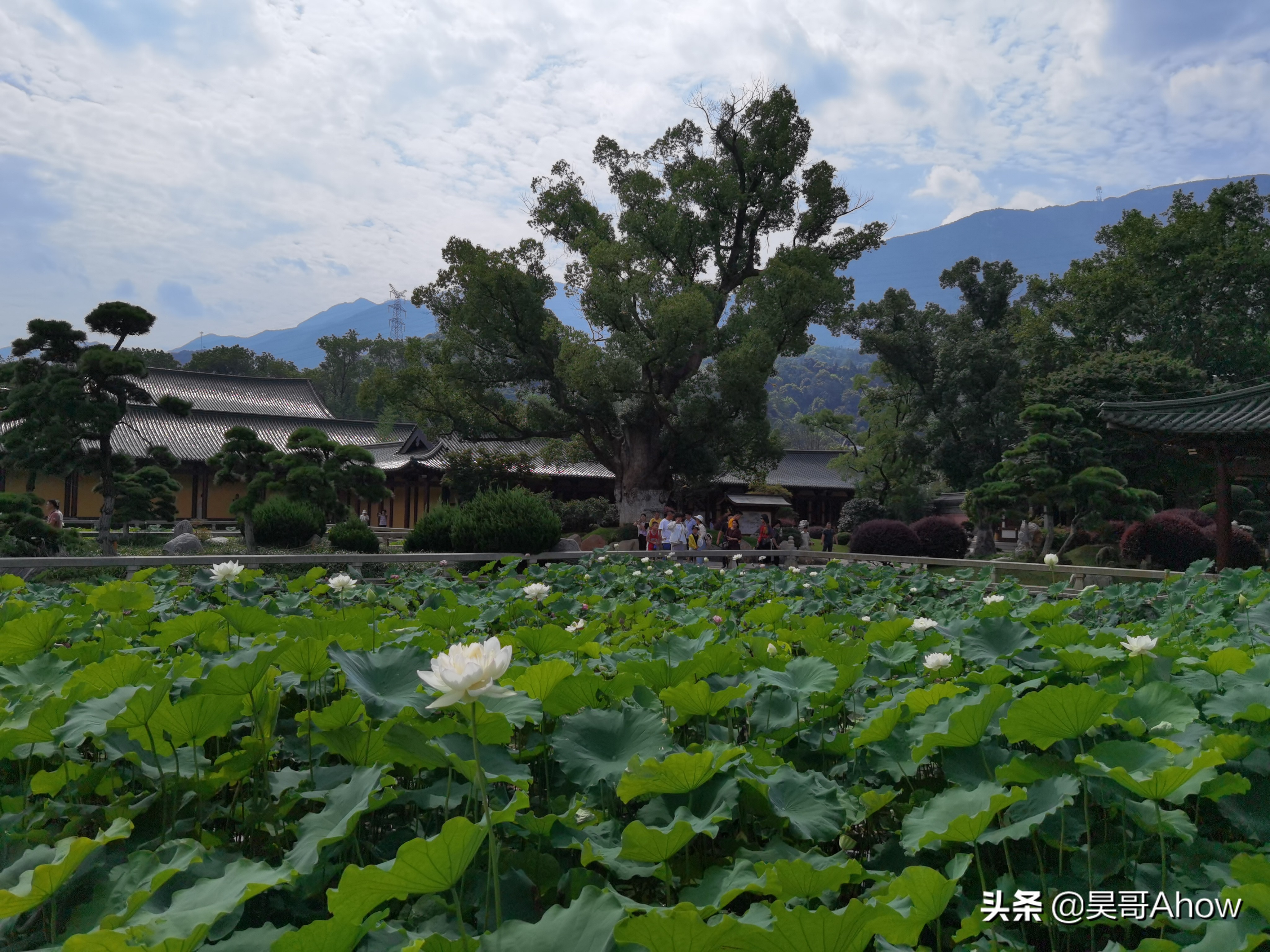 中国最良心的4大著名寺院，3处免门票，1处门票只卖1元