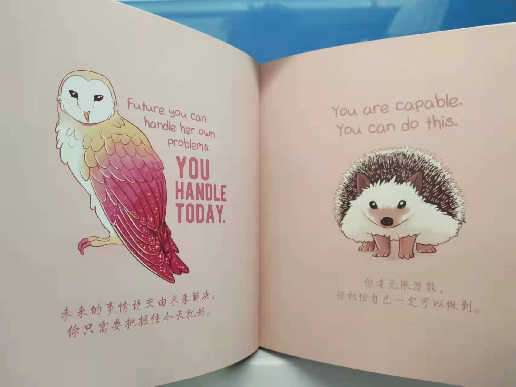 让孩子一眼就喜欢上的“大人书”：就算是刺猬，也要做柔软的那只