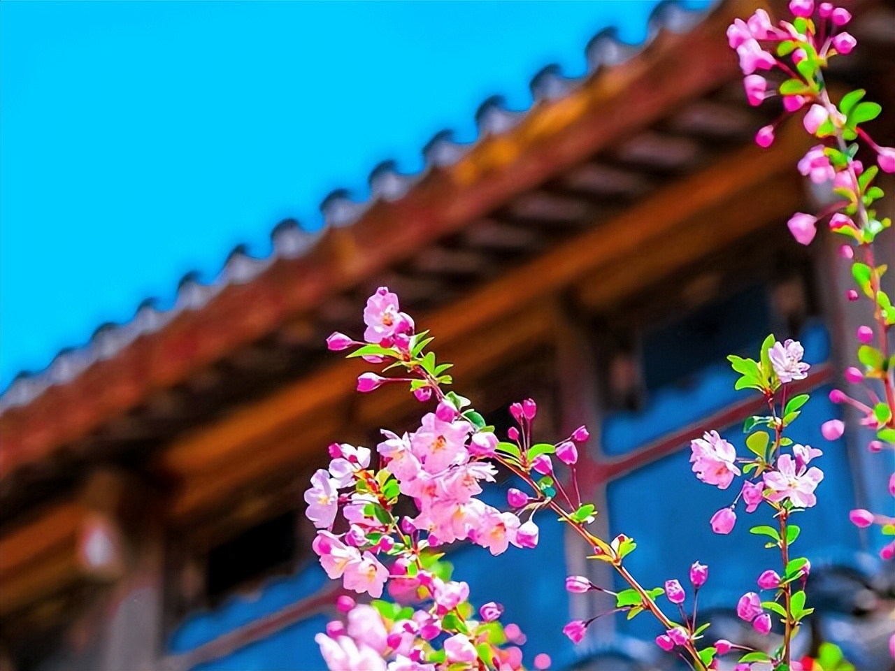 孟郊：世人只知我登科后春风得意，却不懂多次落榜后的万念俱灰