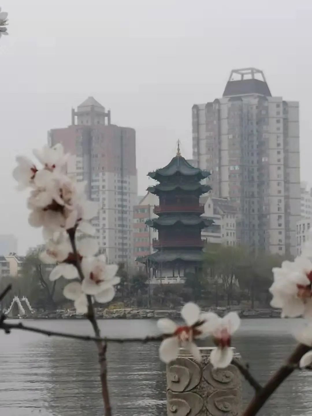 线上展览|“山河春意 锦绣太原——花的世界”主题摄影线上图片展（二十三）