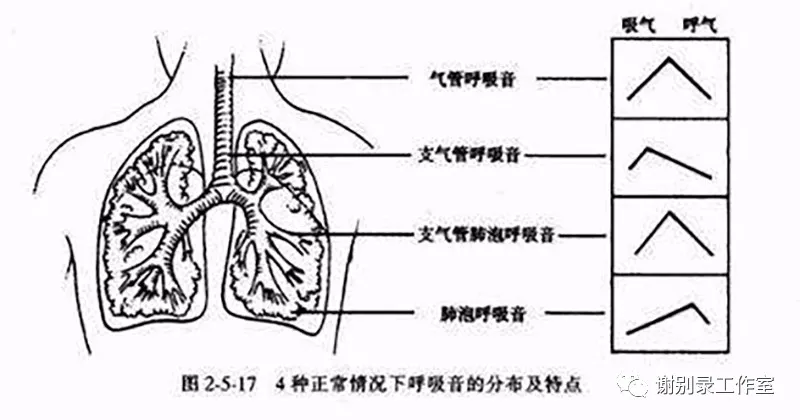 双肺呼吸音低,未闻及罗音,心率106次/分,律齐,心脏各瓣膜听诊区未闻及