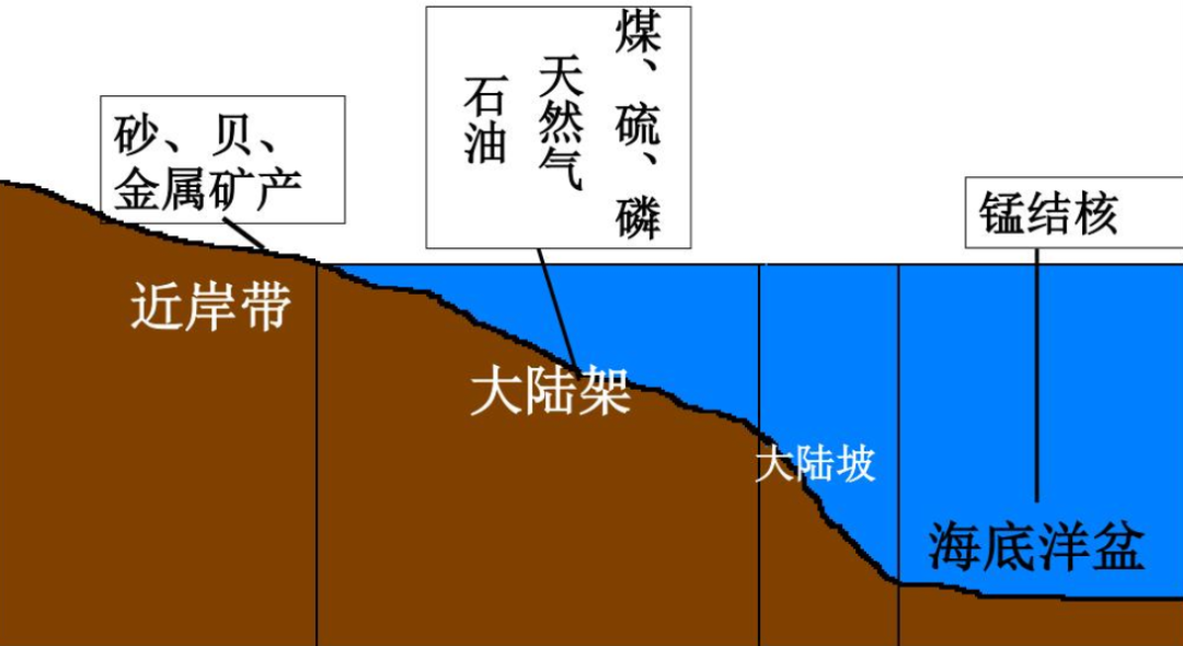 人类为什么只探索了5%的海洋？人类在深海中，发现了什么？
