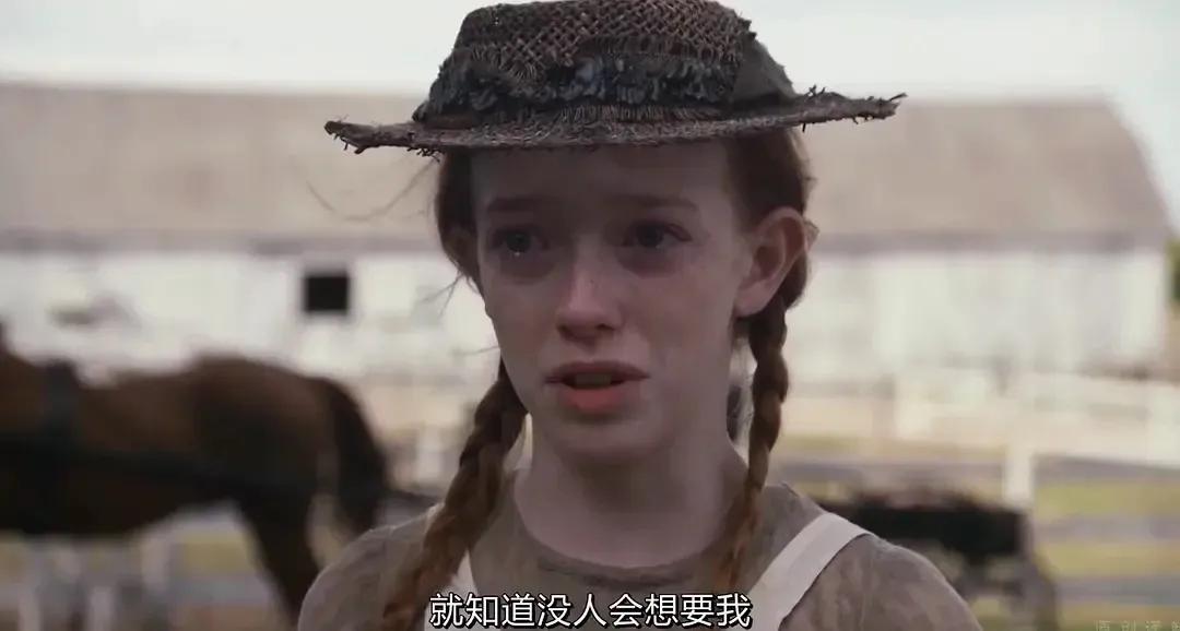 小安妮电视