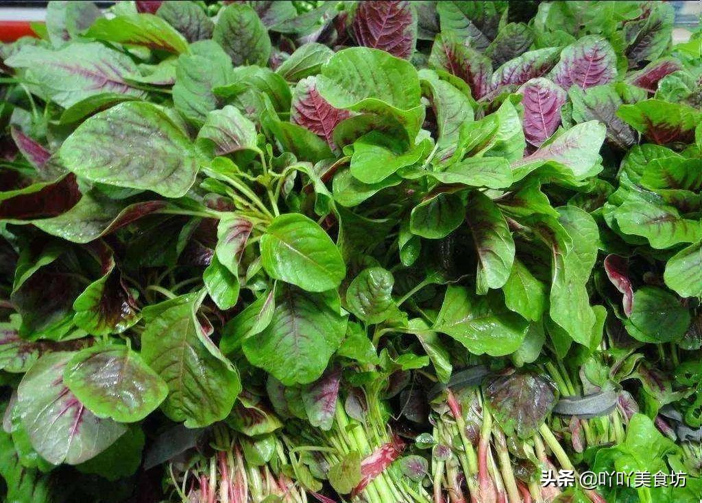 春天不可錯過的10種野菜，自然清新的味道，比肉還受歡迎