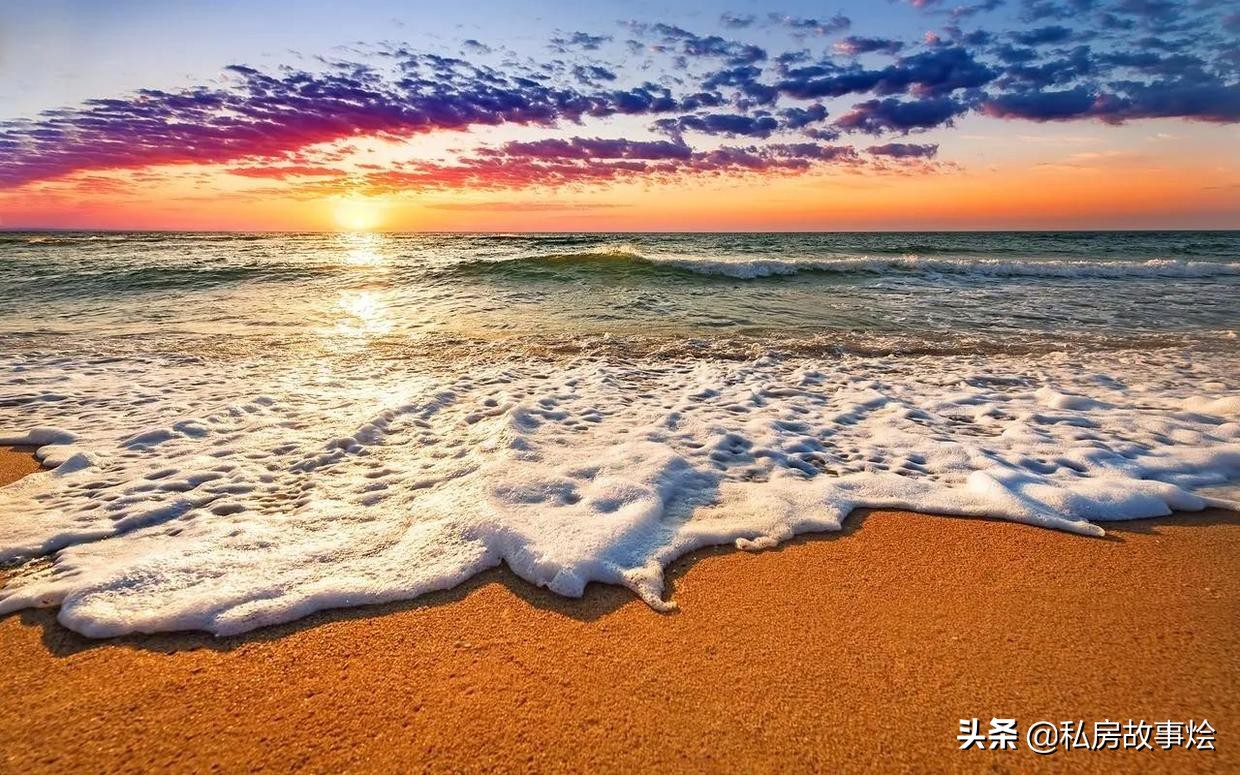 中篇小说：一个女人最后的尊严（全文）