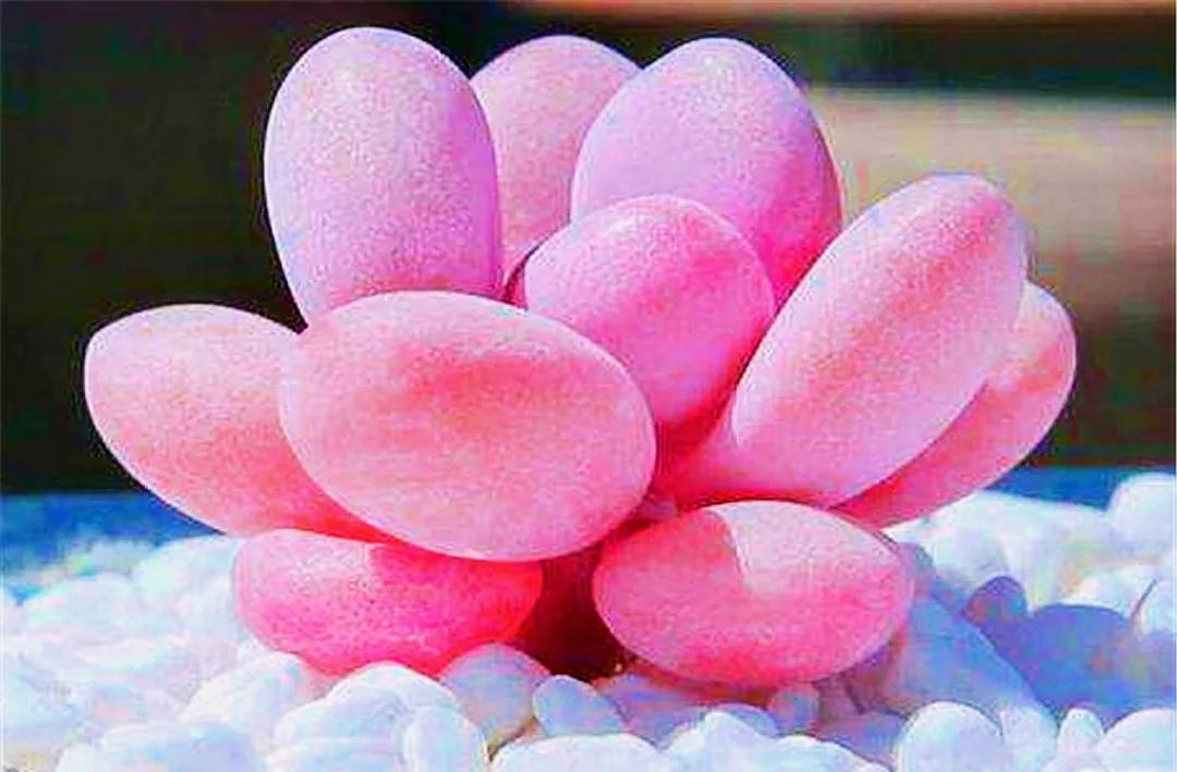 人生百味经典句子