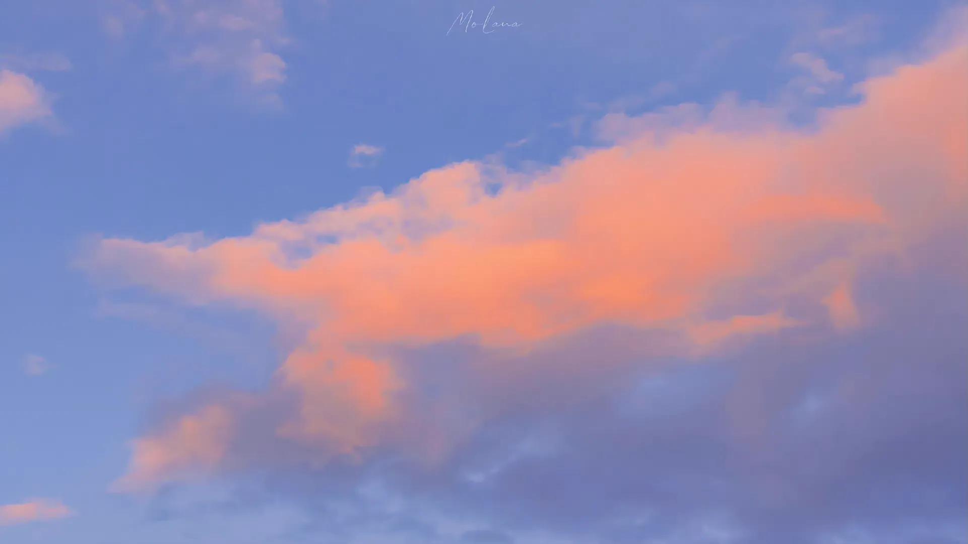 老百姓怎么正确通过网络媒体曝光维权