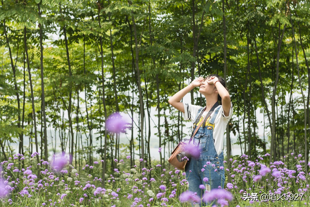 描写夏天的神仙开头，如果能这样写，作文离高分就不远了