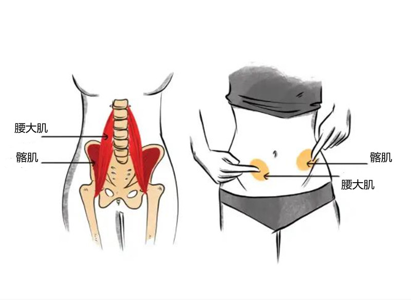 站立时臀部前侧疼痛