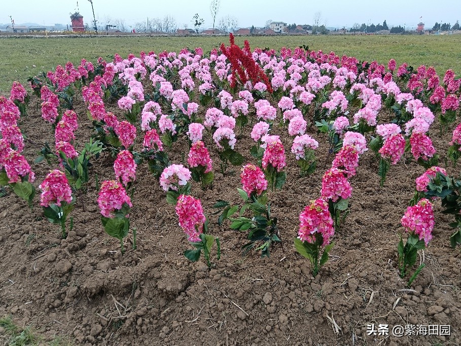 湖北附近景点哪里好玩，今年春节就决定来这里