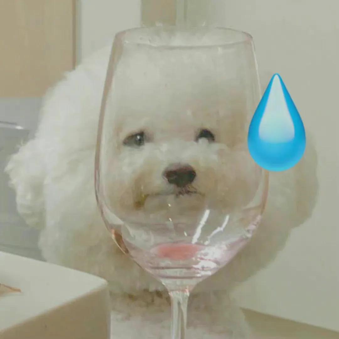 自动回复大全(qq离线自动回复有趣)