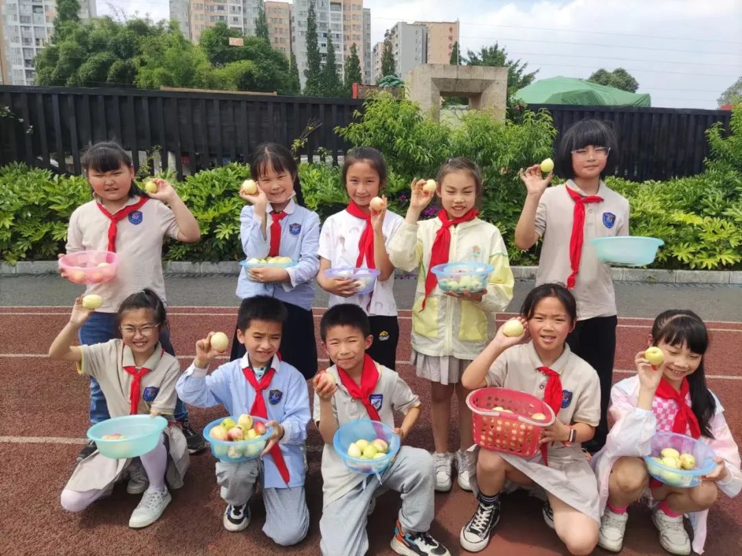 快乐劳动 幸福童年｜记双流区实验小学外国语学校劳动系列课程