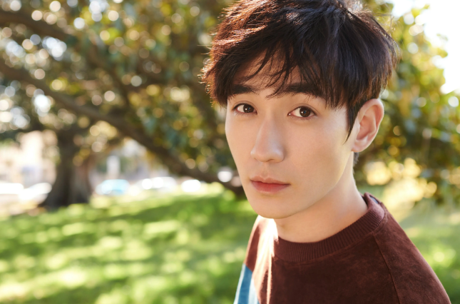 朱一龙的戏路挺宽的，他的剧我看过两遍以上，以前小动作还很多的