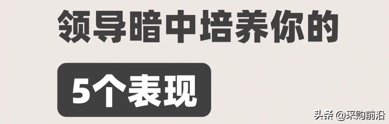 领导暗中培养你的五个表现