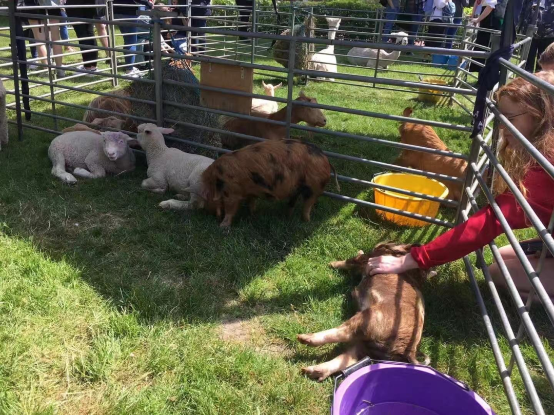 在英国名校南安普顿大学就读是种什么体验？