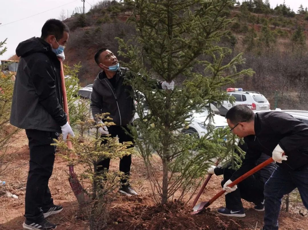 临潭县四大班子领导带头参加春季义务植树活动