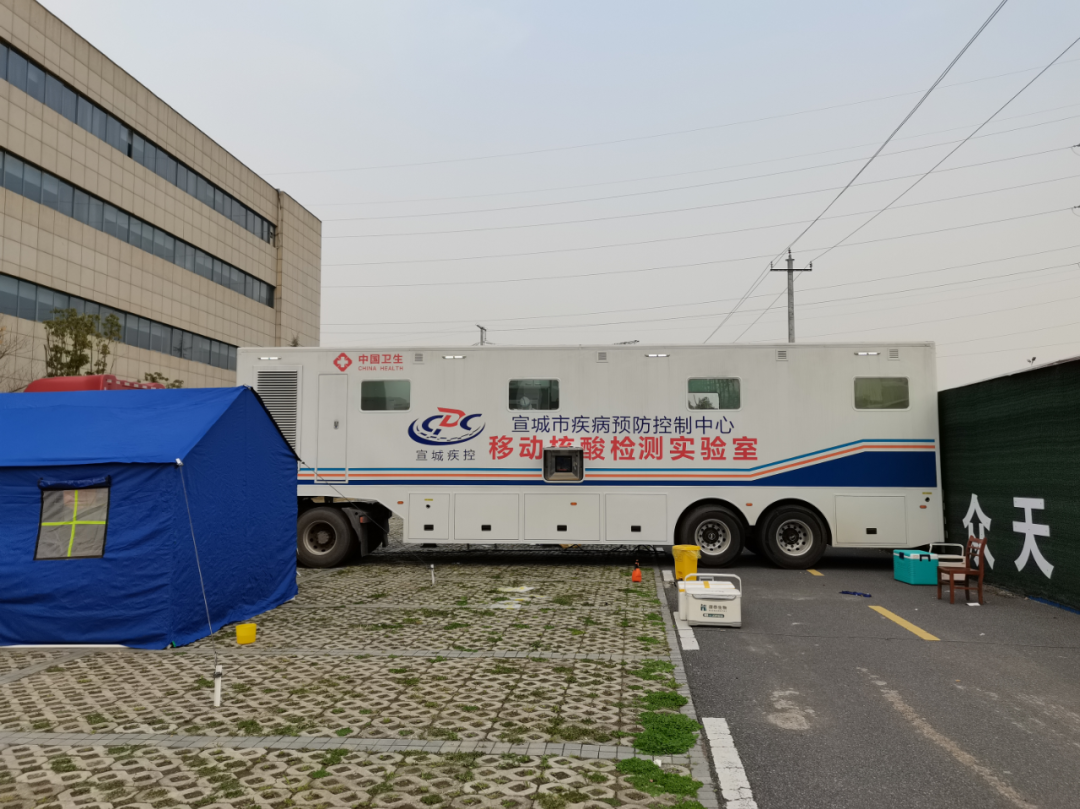 绿“马”守卫战