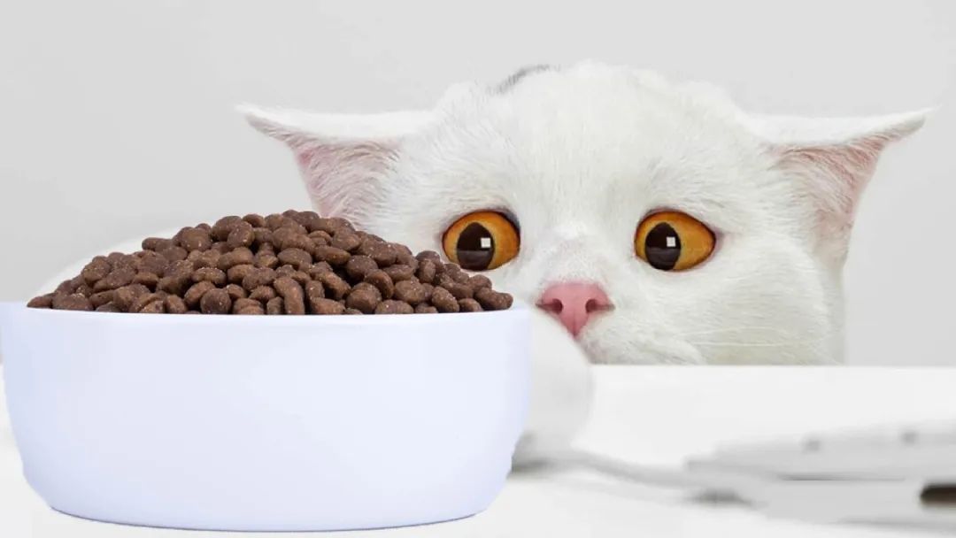 ��ʺ�ٵġ���ѧ������