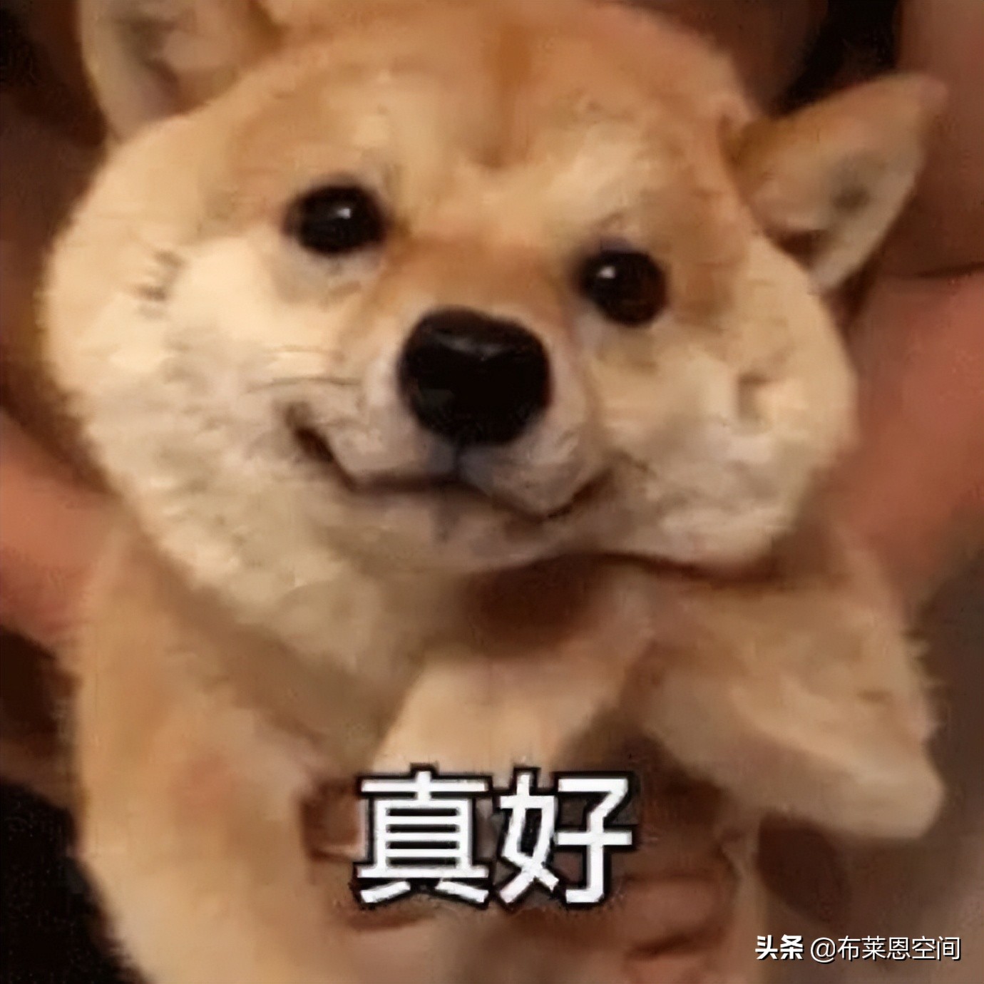 揭秘：阿里数据中心岗位介绍、实习、转正、面经