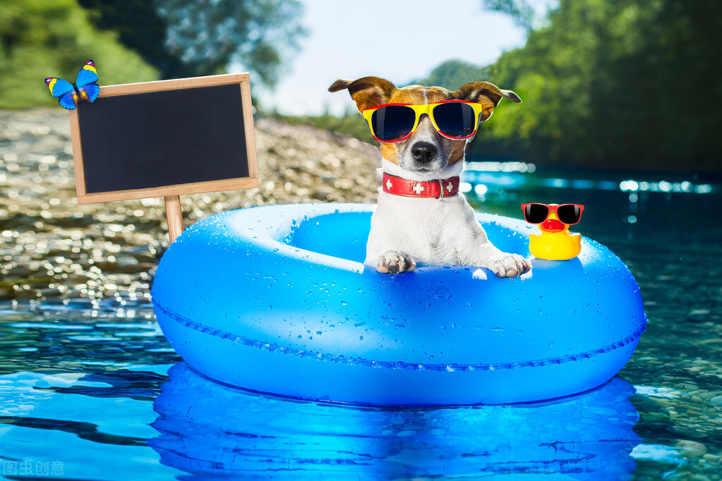 集中培训心得体会（暑期培训心得体会教师最新）