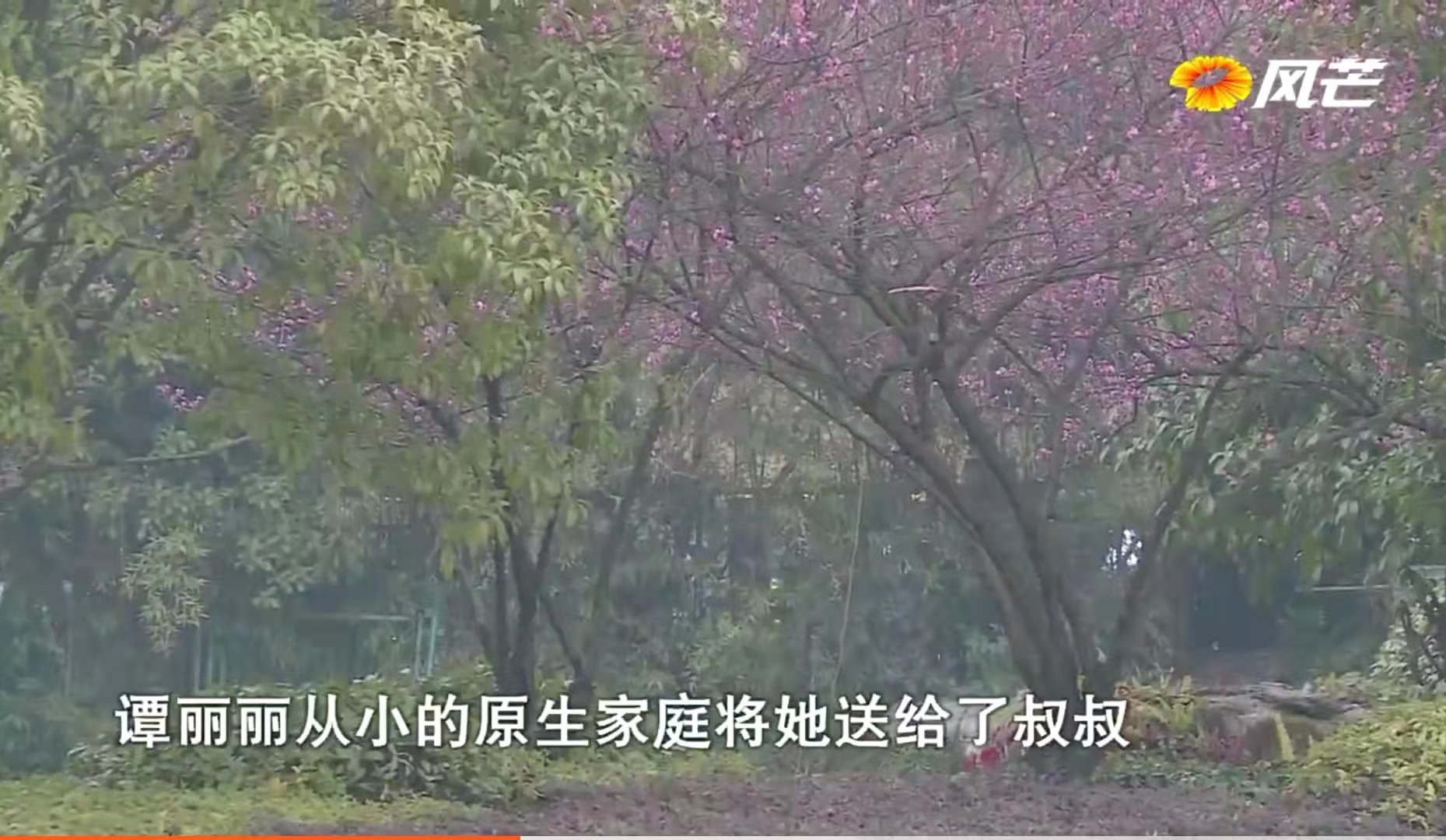 已怀孕的女友劝男友与前妻复婚，且愿意3人共同生活，前妻：有诈