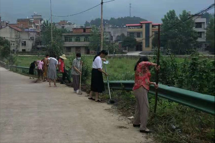 陽(yáng)新楓樹下村“田園黨建”模式讓村民爭(zhēng)做“美麗楓樹下”主人翁