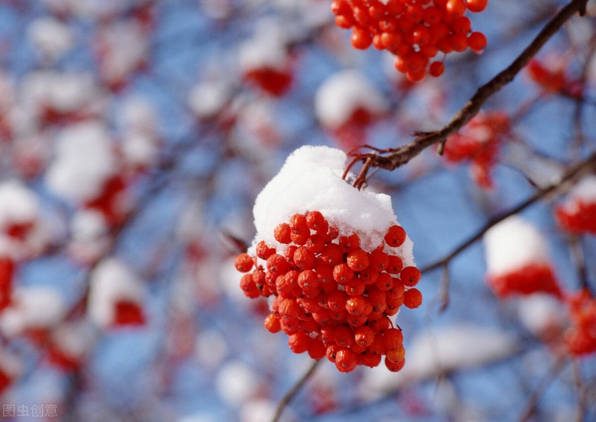 十首下雪的唯美诗词，每一首都值得收藏背诵