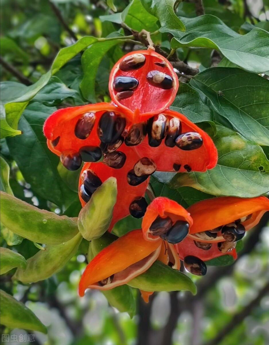 一花一叶最深情，万千春光花满园，花开惊艳时光，花香温柔岁月