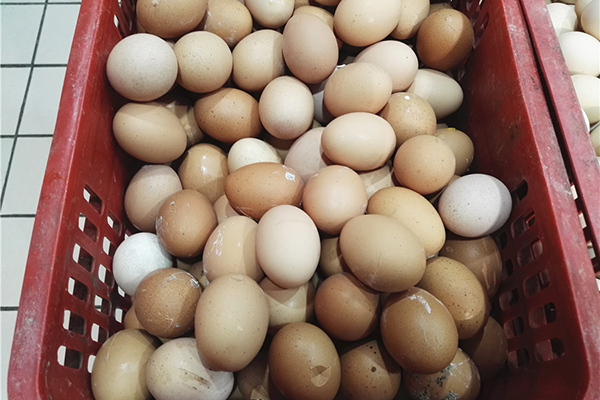 每天一个蛋，对身体有何好处？四种类型的鸡蛋，建议扔掉