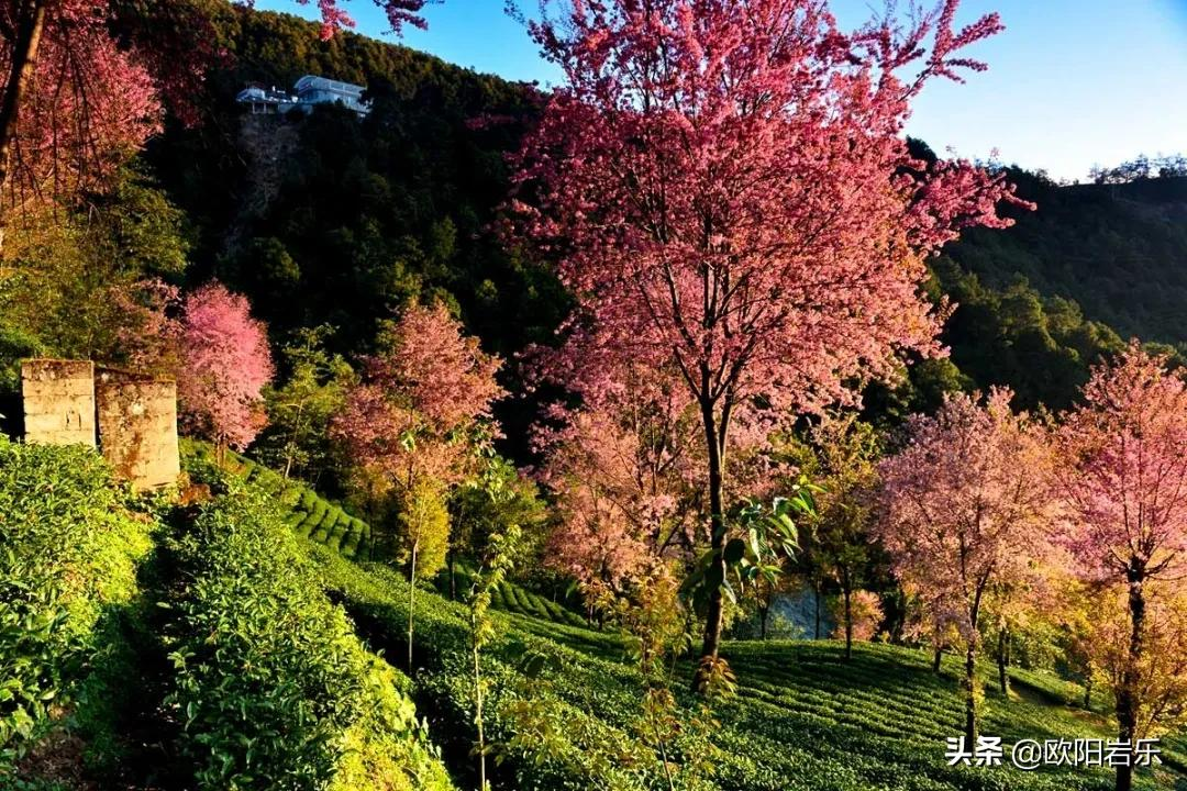 适合冬天出发的12条自驾路线,人少景美,来一场自驾之旅吧 适合冬天出发的12条自驾路线,人少景美,来一场自驾之旅吧