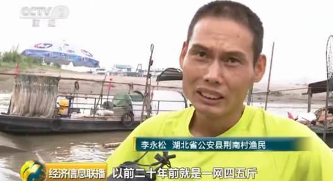 长江的“喜讯”：宜都出现大量鱼卵，三峡水库“护渔”见效？