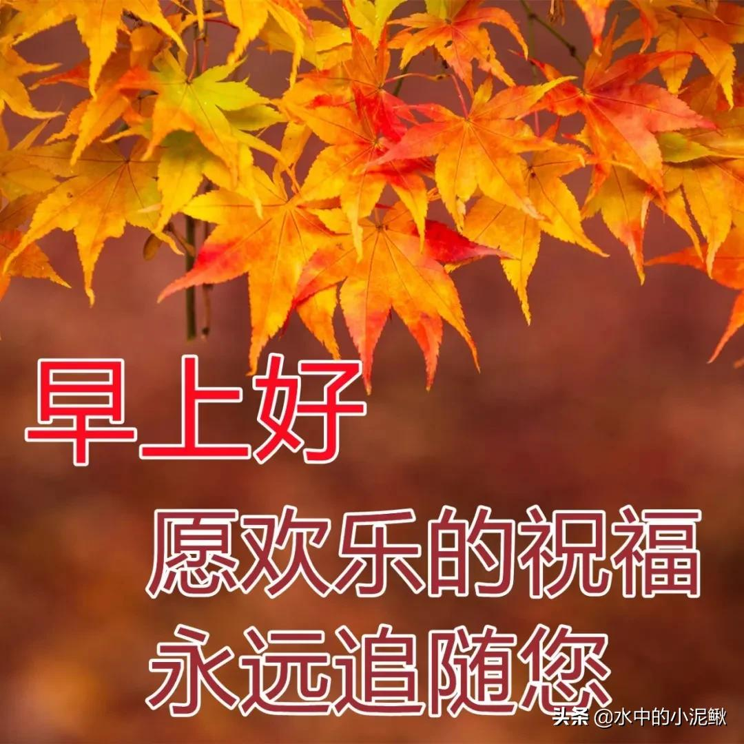 分享早安心语朋友圈励志语录，抖音经典语录正能量句子