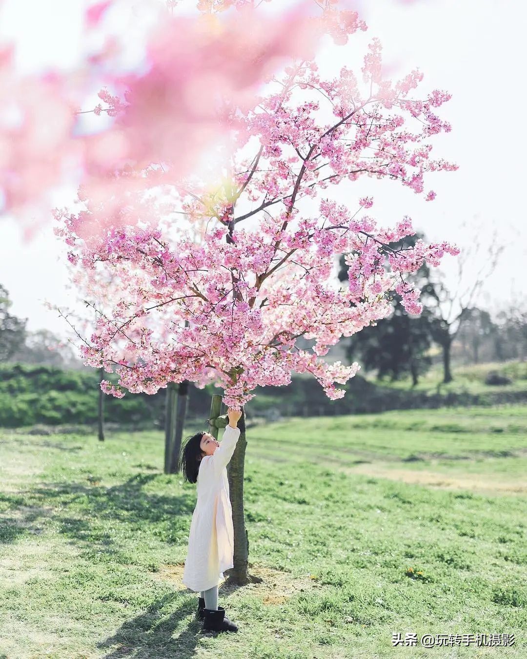 儿童相册上的唯美句子_晶羽文学网