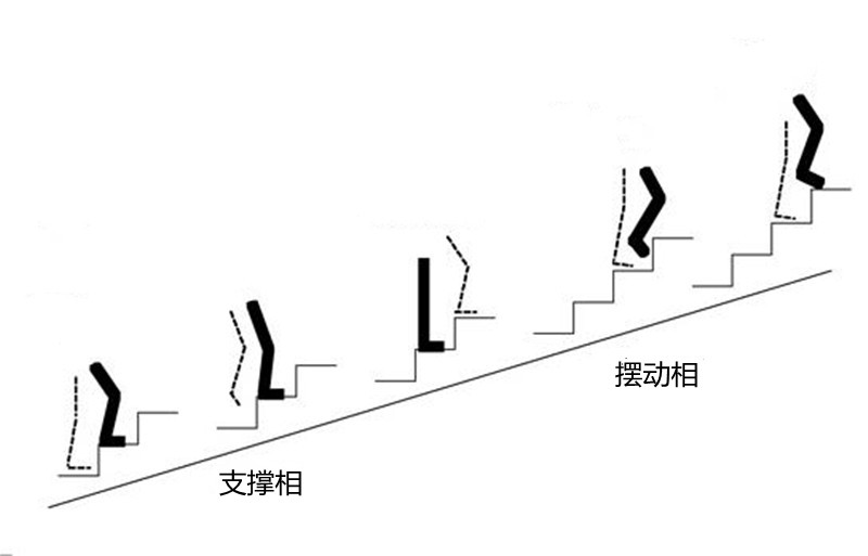 婴儿腿打颤是怎么回事（上楼梯没事）