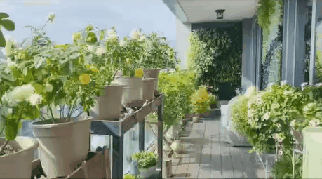 新房入住后才懂的阳台装修惊艳效果