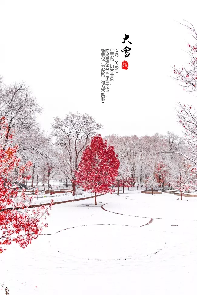 「2021.12.07」早安心语，大雪早上好祝福语图片带字，暖心的问候