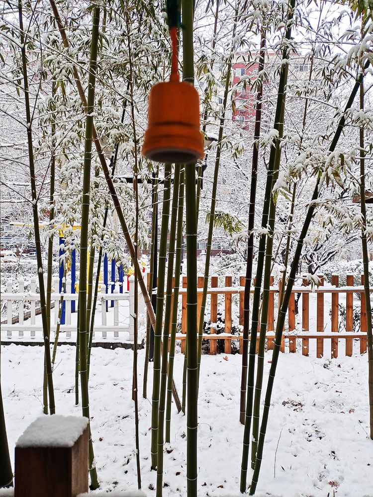 一场雪，让这里的春天真美 摄影/诗文：李武兵