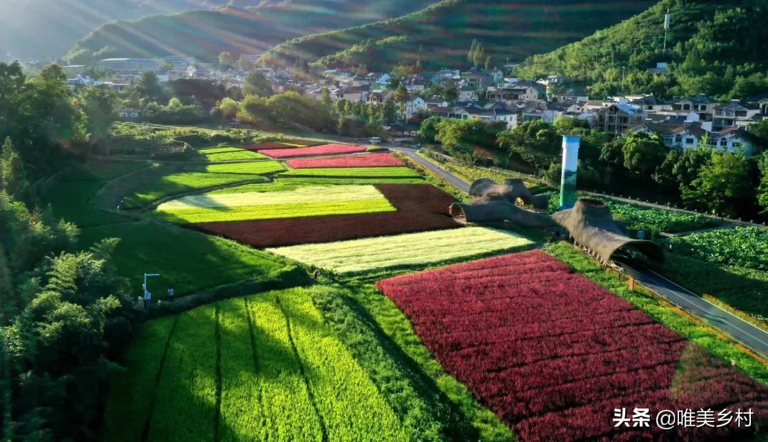 一号文件：“推进”乡村建设！过去、现在、未来？5大风向标