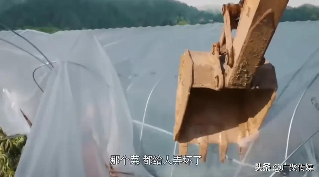 电视剧《幸福到万家》：万传家未经允许就把幸福家大棚给强拆了