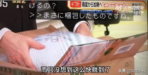 沉迷冰墩墩无法自拔,甚至想好了cv,论日本人到底多喜欢大熊猫