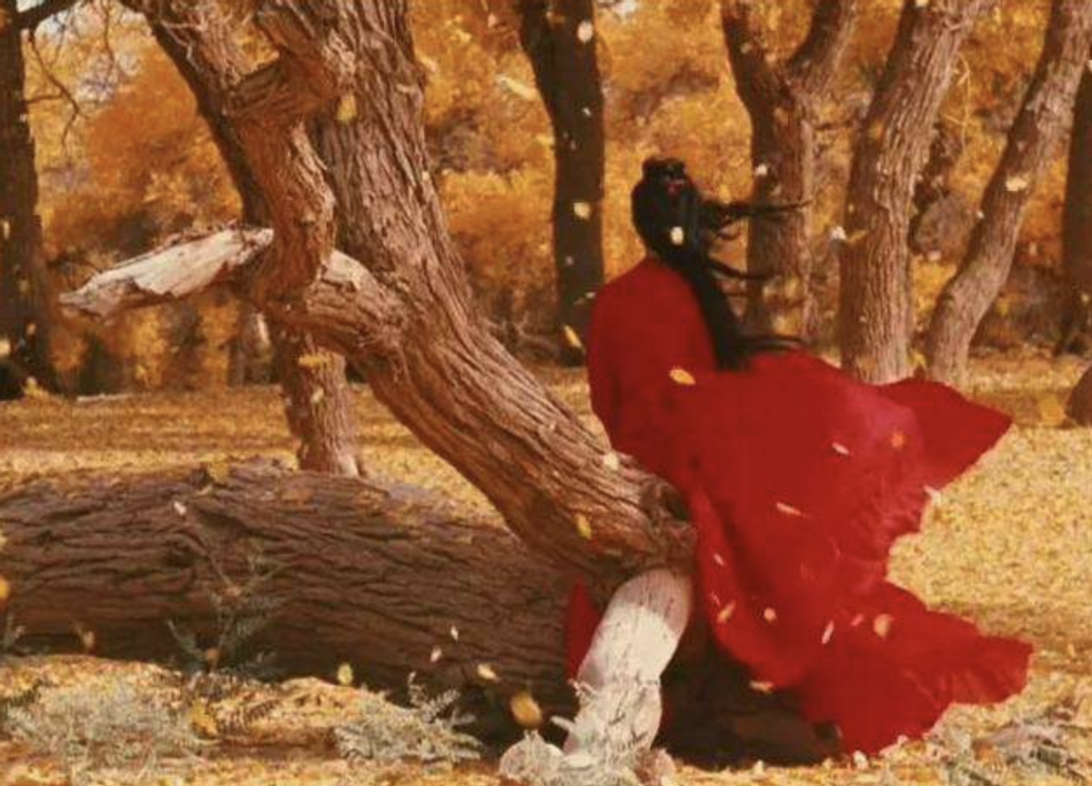 同是第五代顶流导演，把冯小刚张艺谋放在一起对比，差距就出来了