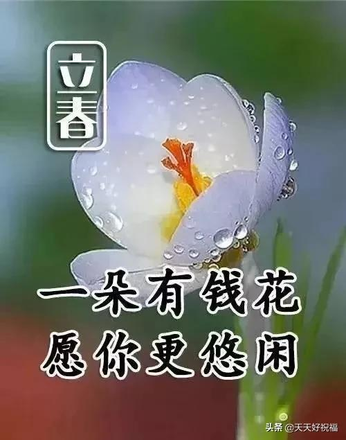 立春，祝福问候早送上，致我的亲人朋友