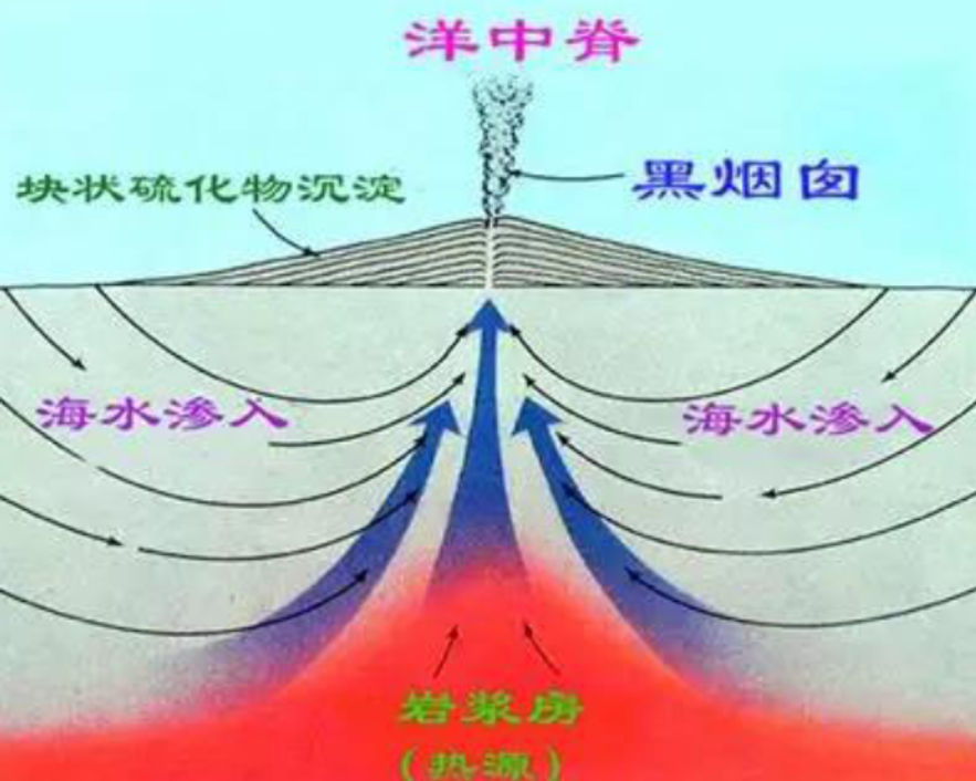 人类为什么只探索了5%的海洋？人类在深海中，发现了什么？