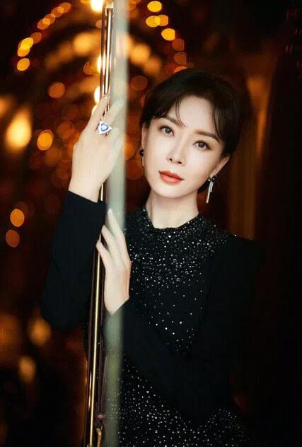 貌美如仙陈数